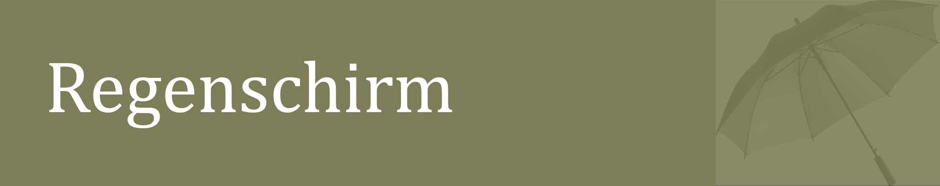 Banner_Regenschirm Banner_Regenschirm