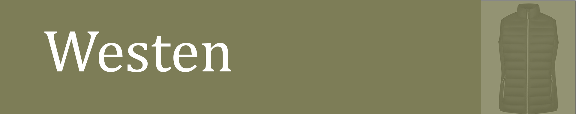 Banner_Westen Banner_Westen